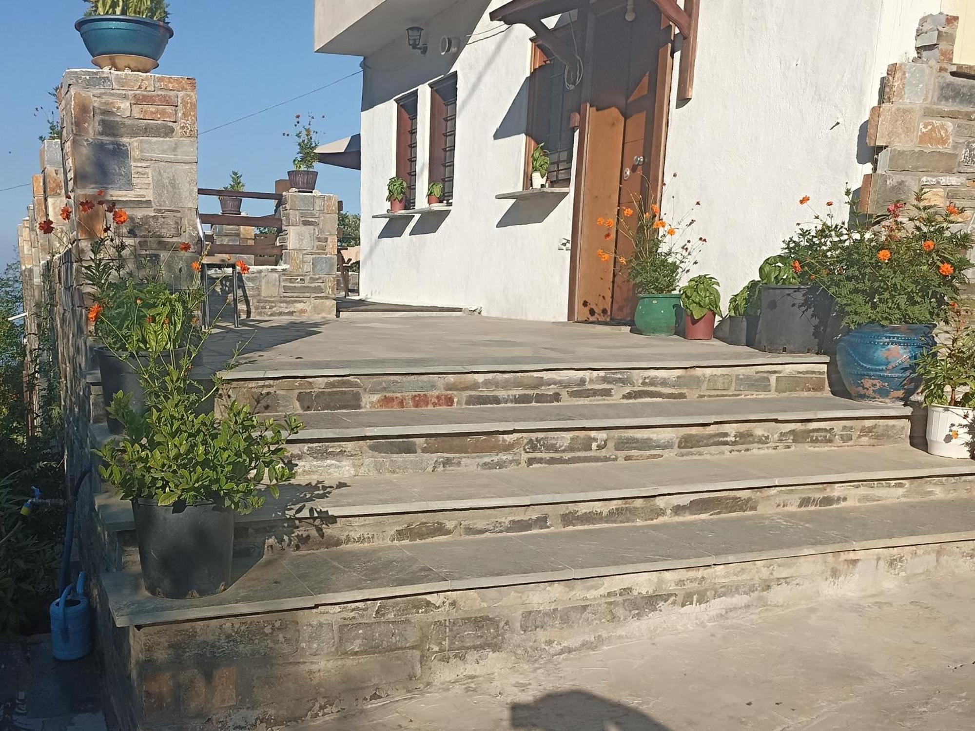 Apartments Spiros Pelion Kalamaki  Zimmer foto