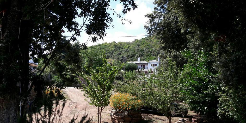 Apartments Spiros Pelion Kalamaki  Exterior foto